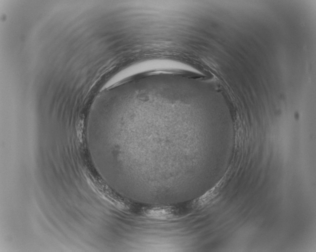 X0000056330171200509092337