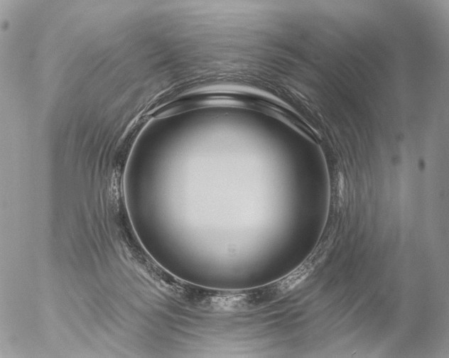 X0000056330172200509092337