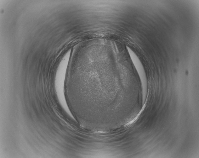 X0000056330174200509092337