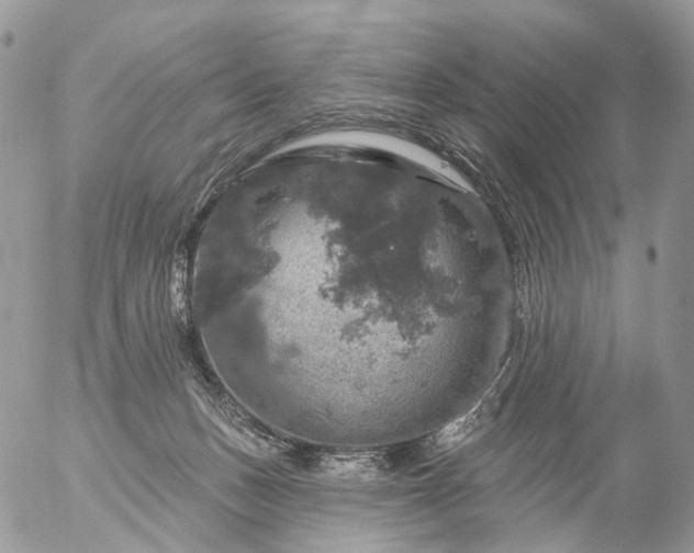 X0000056330175200509092337