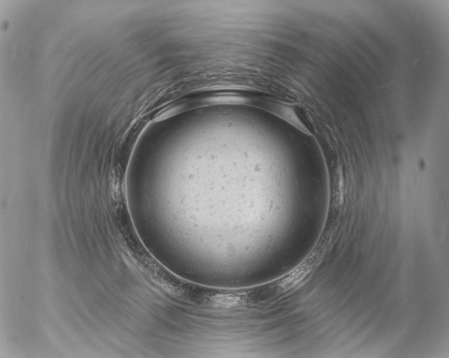 X0000056330176200509092337