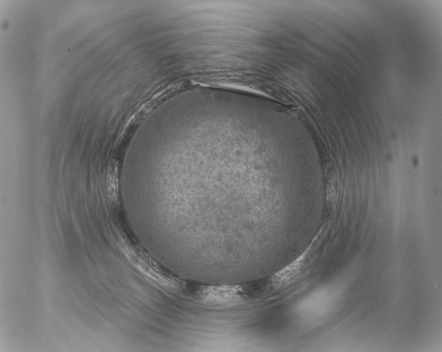 X0000056330179200509092337