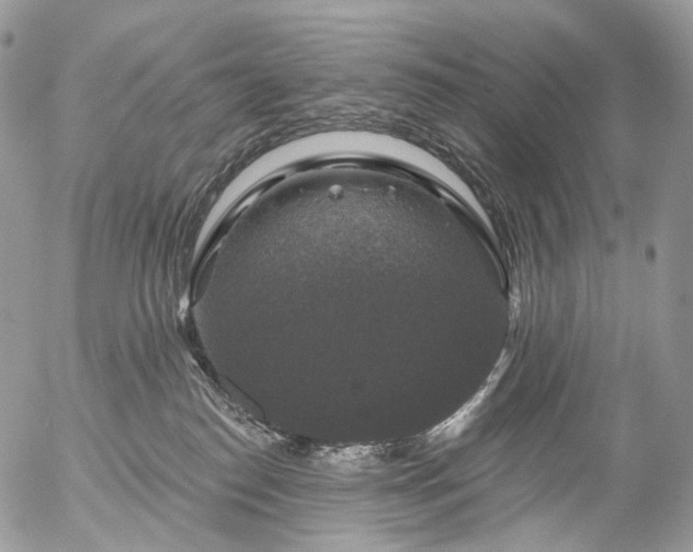 X0000056330186200509092337