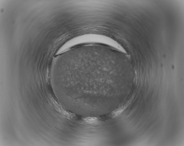 X0000056330189200509092337