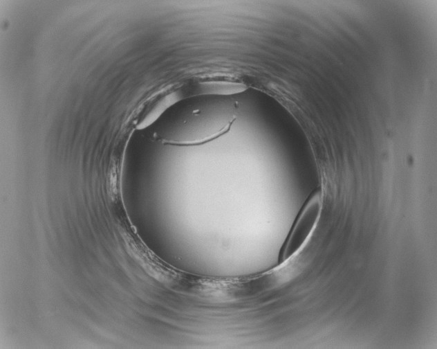 X0000056330190200509092337