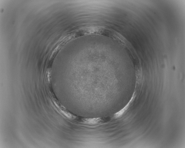 X0000056330191200509092338