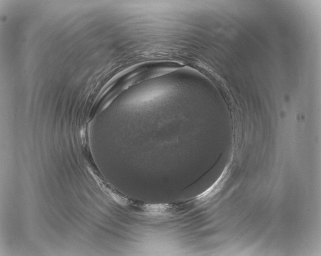 X0000056330192200509092338