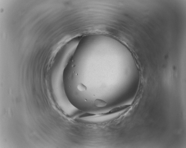 X0000056330193200509092337