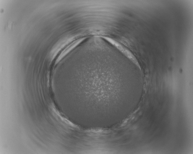 X0000056330194200509092337