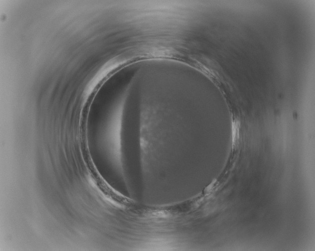 X0000056330195200509092337