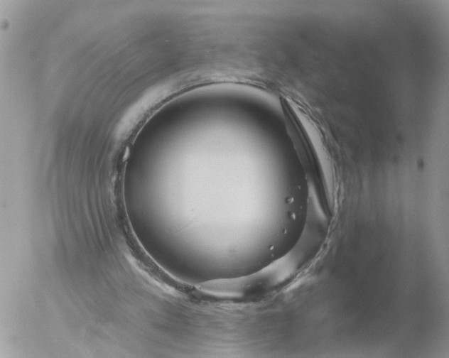 X0000056330197200509092337