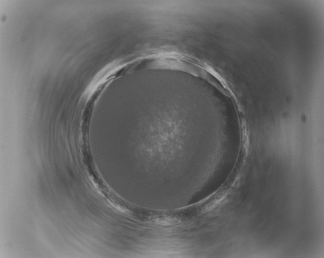 X0000056330199200509092337