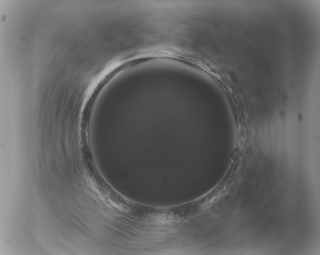 X0000056330200200509092337