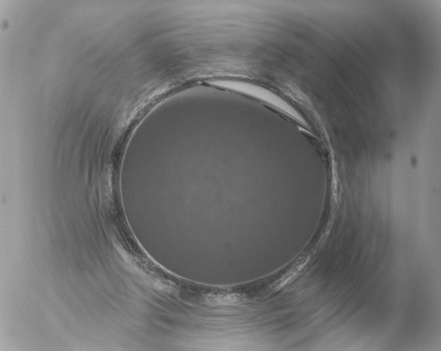 X0000056330202200509092337