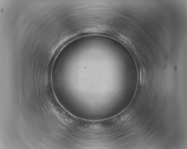 X0000056330204200509092337