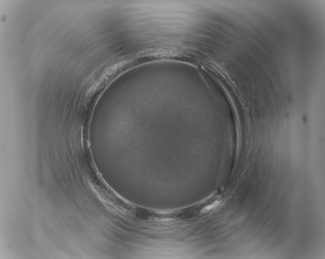 X0000056330205200509092337