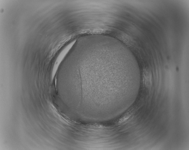 X0000056330206200509092337