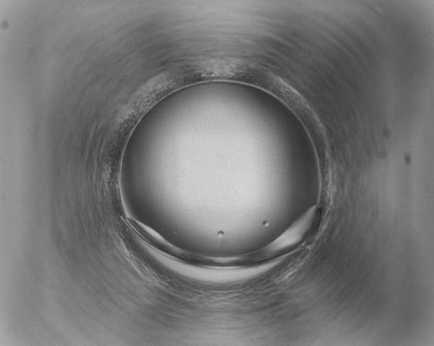 X0000056330209200509092336