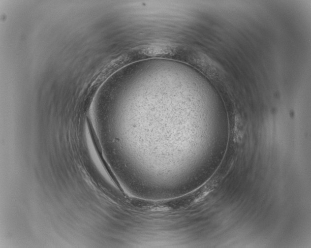 X0000056330210200509092336