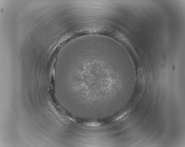 X0000056330212200509092336