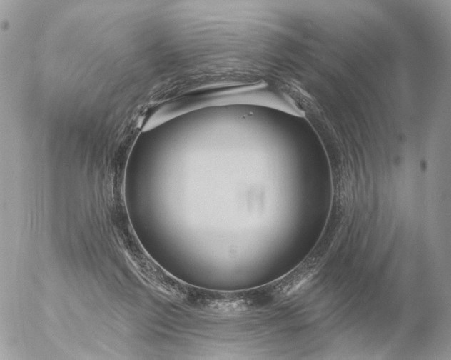 X0000056330213200509092336