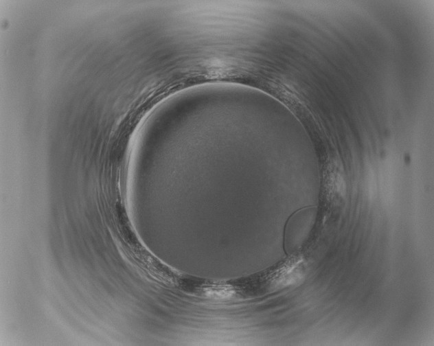 X0000056330214200509092336