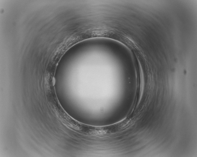 X0000056330217200509092336