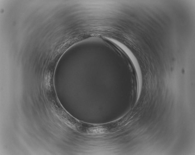 X0000056330219200509092336