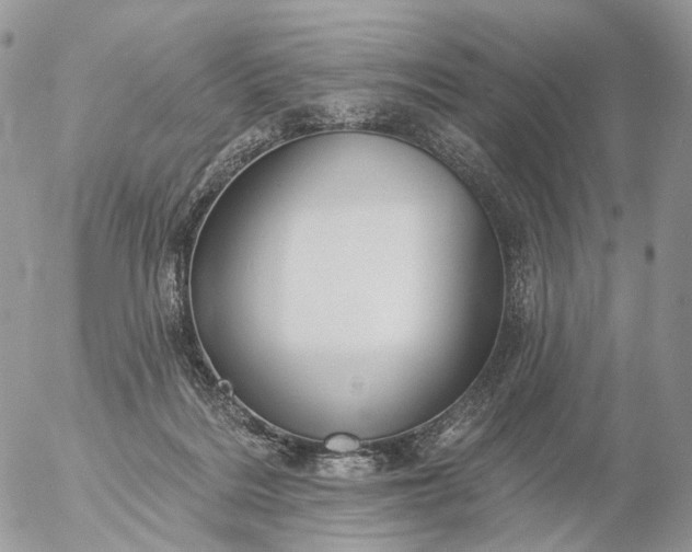 X0000056330220200509092336