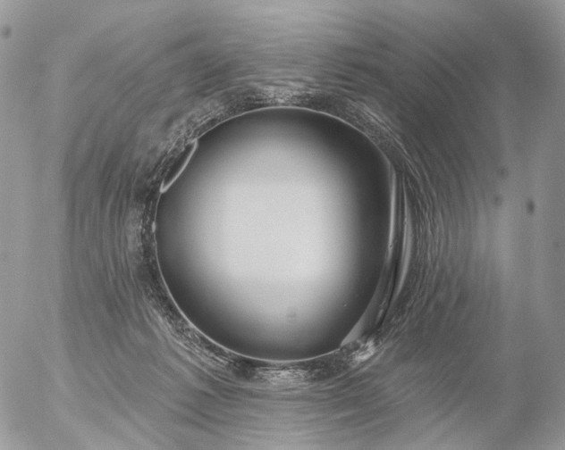 X0000056330221200509092336