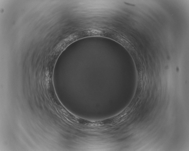 X0000056330223200509092336