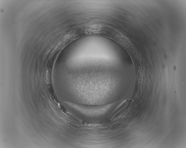 X0000056330224200509092336