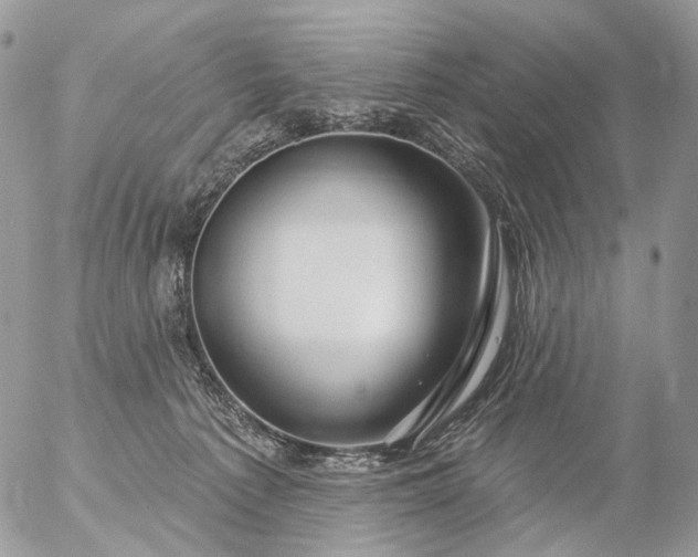 X0000056330225200509092336