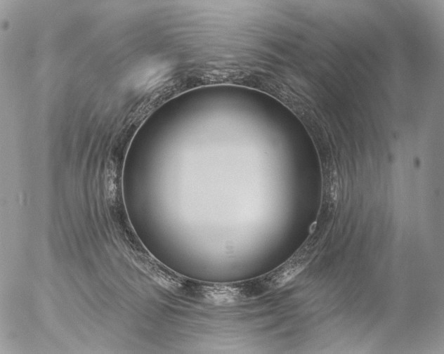 X0000056330226200509092336