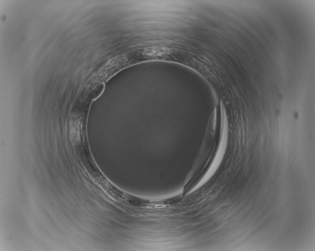 X0000056330227200509092336