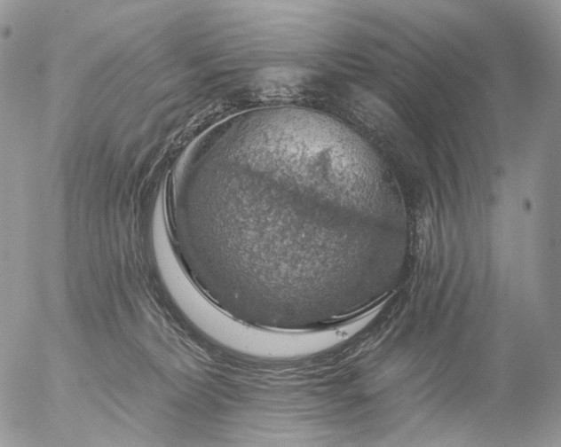 X0000056330228200509092336