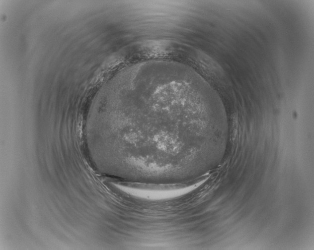 X0000056330230200509092336