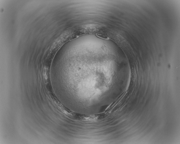 X0000056330232200509092336