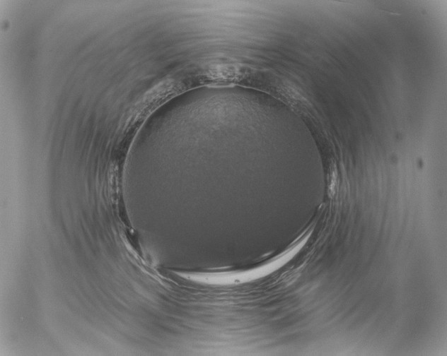 X0000056330233200509092336