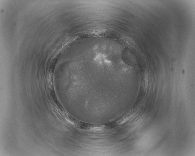 X0000056330236200509092336