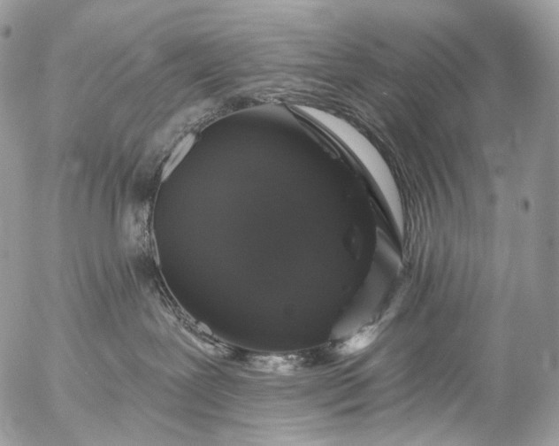 X0000056330239200509092336