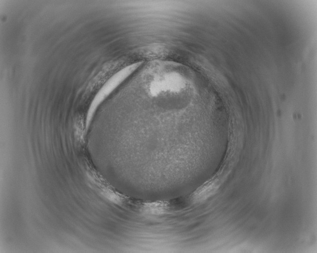 X0000056330240200509092336