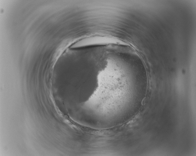 X0000056330241200509092335