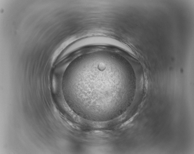 X0000056330244200509092335