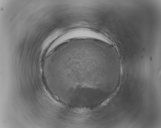 X0000056330245200509092335