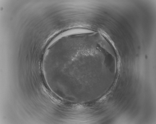 X0000056330249200509092335