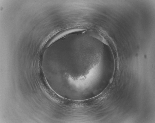 X0000056330250200509092335