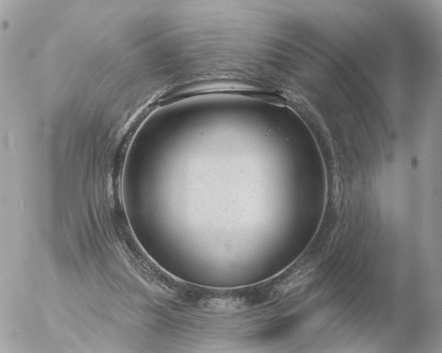 X0000056330251200509092335