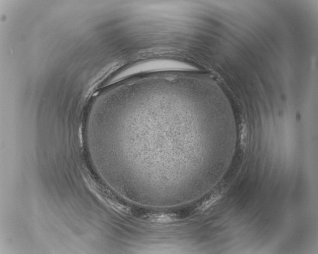 X0000056330254200509092335