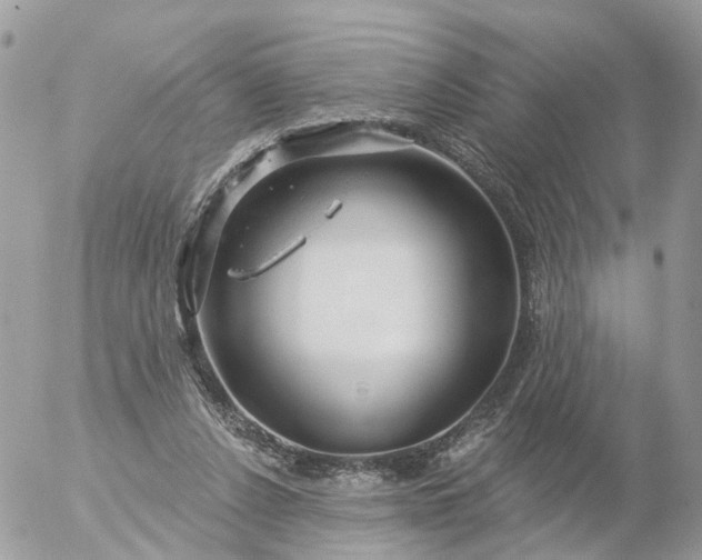 X0000056330256200509092335